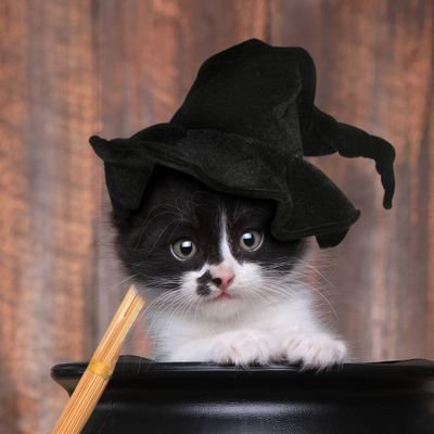 macchin_4668's profile picture. 