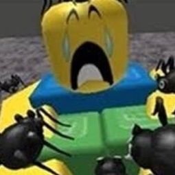 posting image of crying noob covered in spiders daily (ran by @shedetsky89