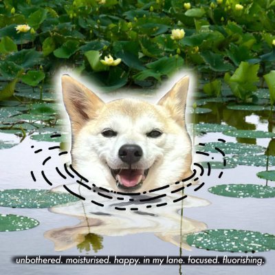 This Comeback...It's Personal , An Apology to Myself CA that will change your life : CTg3ZgYx79zrE1MteDVkmkcGniiFrK1hJ6yiabropump