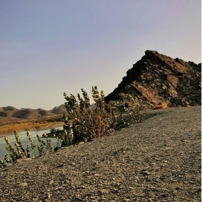 sumaya_bal87366's profile picture. student of politics ( iiui)