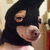 keyerror (@r_wreckman) 's Twitter Profile