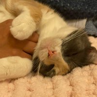 alejandra (@itzatiny) 's Twitter Profile