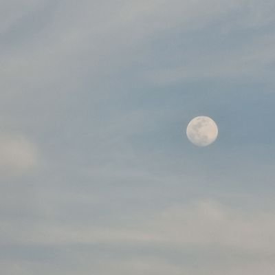 mori_ize's profile picture. Introvert