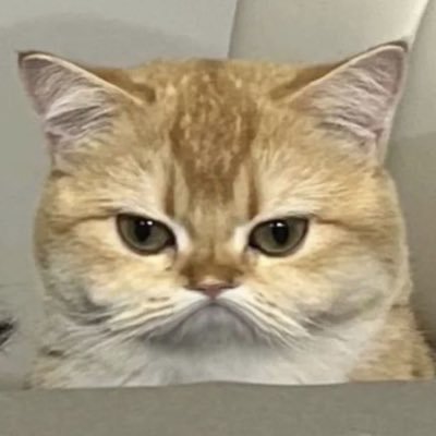 tsukiq_'s profile picture. 