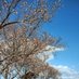 中部東海中京愛知名古屋™© (@chubungo) Twitter profile photo 中部東海中京愛知名古屋™© (@chubungo) Twitter profile photo
