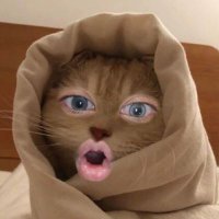 Dira. (@yoohyuniee) 's Twitter Profile Photo Dira. (@yoohyuniee) 's Twitter Profile Photo