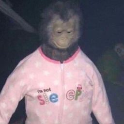 swaacy's profile picture. washed up immortal