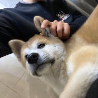 海楼 (@louhai1998) 's Twitter Profile Photo 海楼 (@louhai1998) 's Twitter Profile Photo