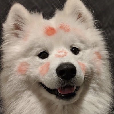 shinny_jrppps's profile picture. 18% | #dek69 | goal : med ⟢ 🩺💉 studygram | lifestyle #ชอนอจะติดมหาลัย📚 make friend pls dm — 24/7