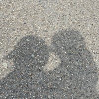 ほた (@_hota_x_x) 's Twitter Profile