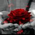 Ali alshemre (@moonssddee) Twitter profile photo Ali alshemre (@moonssddee) Twitter profile photo