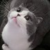 Million (@oohbabyk) Twitter profile photo Million (@oohbabyk) Twitter profile photo