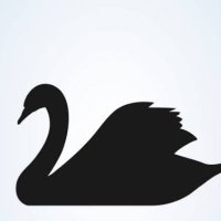 NFT Keeper (@keeper_nft19979) 's Twitter Profile