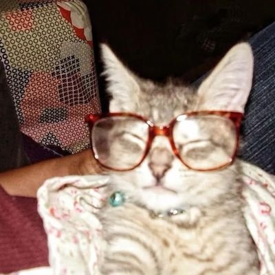 Peanut_Cat_'s profile picture. 世界人民大团结万岁