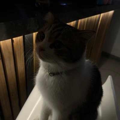 น่ารักตะมุตะมิมุมิมุมิさんのプロフィール画像