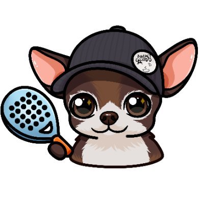 W3Padel Profile