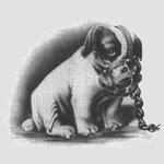 Bacchuche's profile picture. Science - esprit critique - éthique 
Les trois sont indissociables
⛔RN
N'oubliez pas la description des images et reprenez moi si j'oublie.