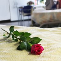 Labour Concerns on Assisted Dying Bill (@labourconcernad) 's Twitter Profile