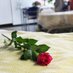 Labour Concerns on Assisted Dying Bill (@labourconcernad) Twitter profile photo Labour Concerns on Assisted Dying Bill (@labourconcernad) Twitter profile photo