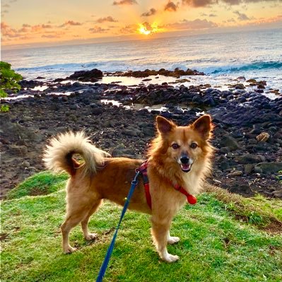 MomRecaps's profile picture. 