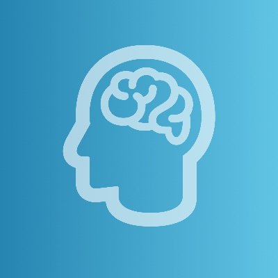 Pico AI Server and Pico AI Studio Profile