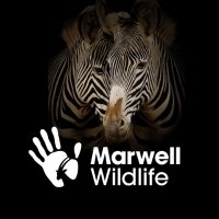 Marwell Wildlife (@marwellwildlife) 's Twitter Profile