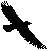 cuervo_133's profile image