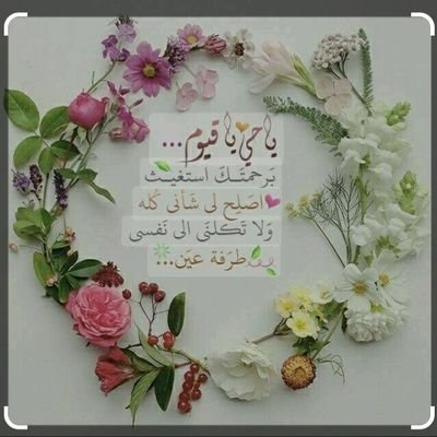 hannush310124's profile picture. 