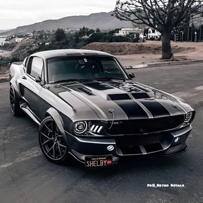 adanx's profile picture. Wrestling & Gaming!