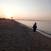 pembeli (@bembelim) 's Twitter Profile