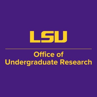 We support undergraduate student participation in faculty-mentored research and professional-level activities.