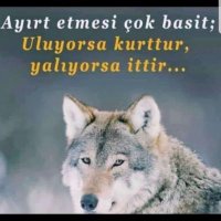 EmadderYahya⚖ (@yener33007439) 's Twitter Profile Photo