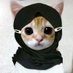 pirnidosansar (@pirnidosansar) Twitter profile photo pirnidosansar (@pirnidosansar) Twitter profile photo