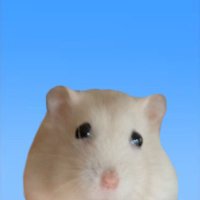 まろ (@qiqi38595684) 's Twitter Profile Photo