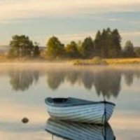 Murat (@murat172188) 's Twitter Profile