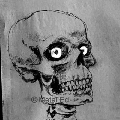 Illustrator | Sketchy #Artist | #MetalHead | #Horror Fan