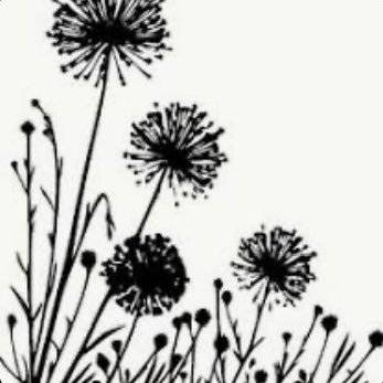 petite51269's profile picture. 