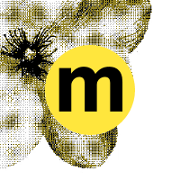 Magnolia (@joinmagnolia) 's Twitter Profile
