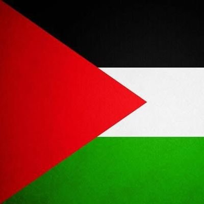 hema55975581700's profile picture. فلسطيني 🔥🇵🇸
From Gaza🇵🇸