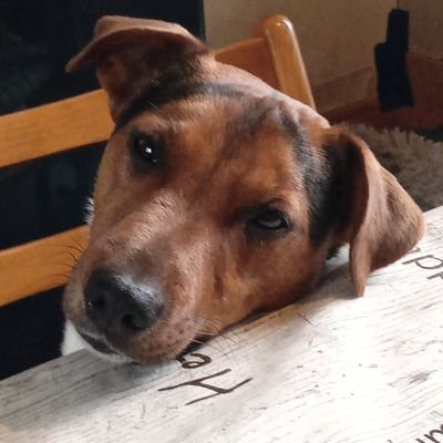 EmmaRussel28455's profile picture. 