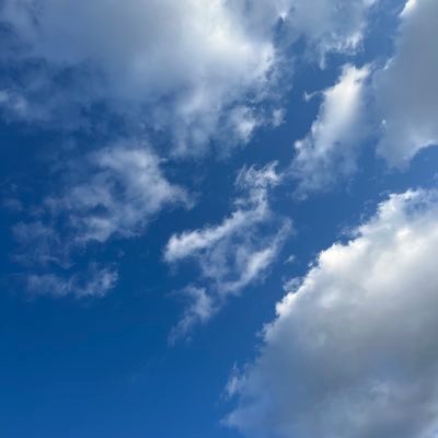 no01257532129's profile picture. 