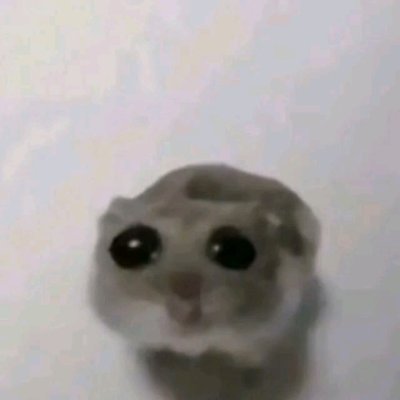 cloさんのプロフィール画像