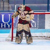 Hexa (@hexa_v2) 's Twitter Profile