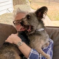OZU THE DOG 🐶 (@ozu_thedog) 's Twitter Profile