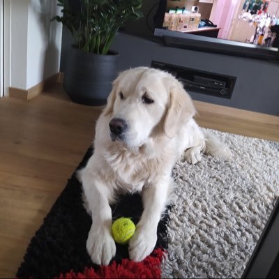 KershawJay2752's profile picture. 🪖🪖