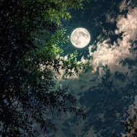 مدرسه خصوصيه (@aws_wamda) 's Twitter Profile