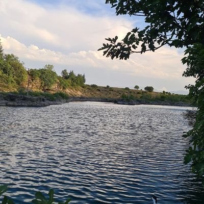 Podgorica1987's profile picture. 