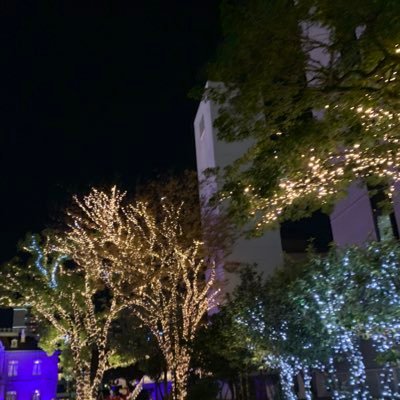 kadokado01's profile picture. 