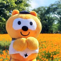 のん (@ori_n_x) 's Twitter Profile