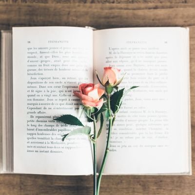 kei_booklog's profile picture. 小2男子の母│HSP│INFJ│韓国語(ハン検4級)│特撮、K-POP、キリンジ、ラーメンズ、江戸絵画などいろいろすき! 
https://t.co/kjq32cE0T9